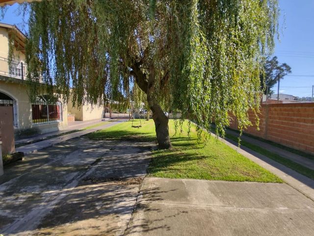 place photo 34