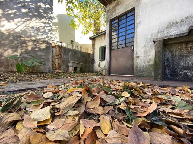 place photo 26