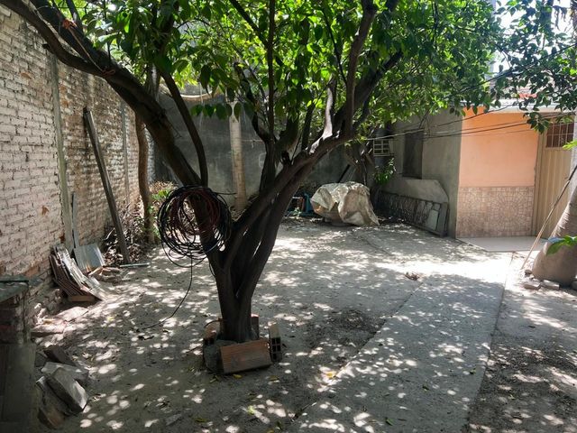place photo 23