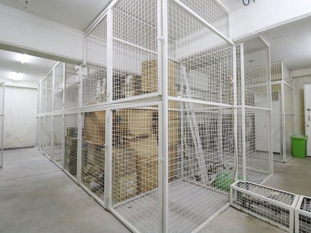 place photo 30