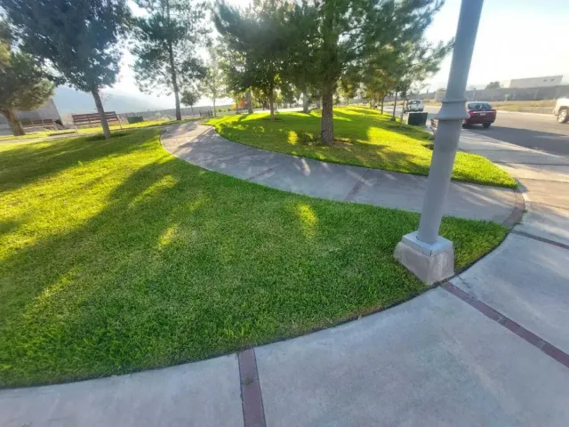 place photo 24