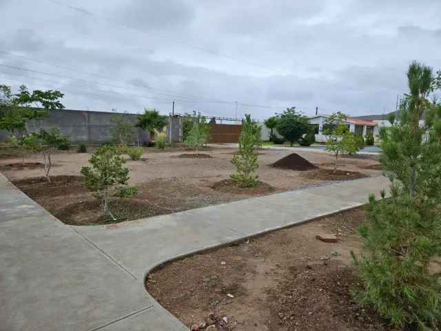 place photo 9