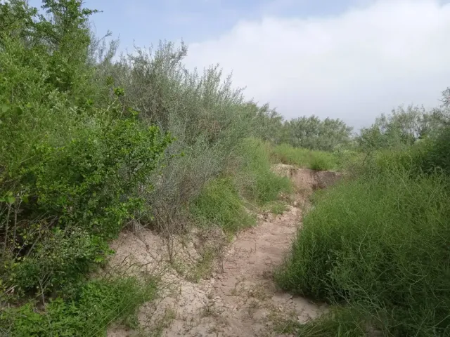 place photo 9