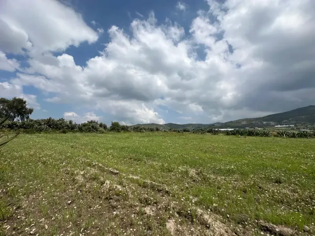 place photo 16