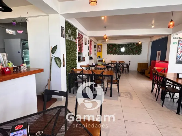 place photo 7