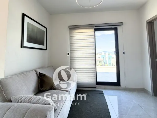 place photo 35