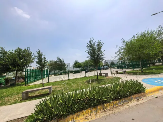 place photo 27