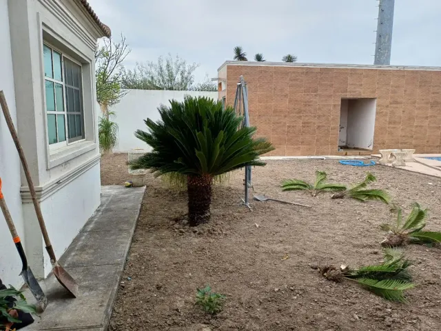 place photo 28