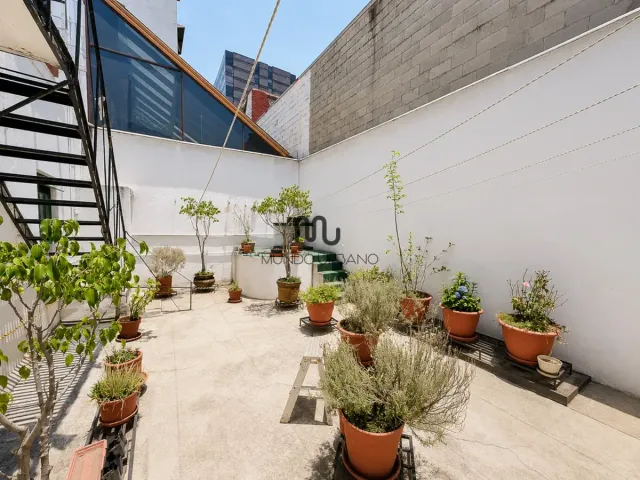 place photo 26
