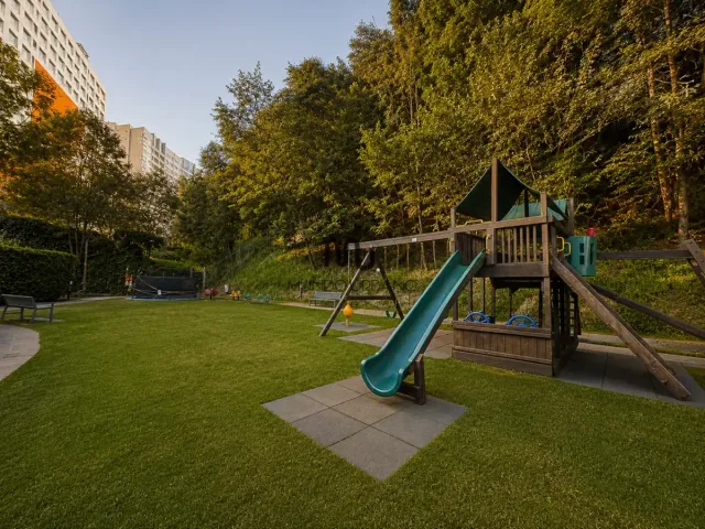 place photo 36