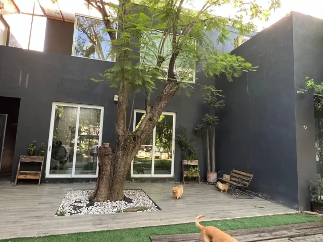 place photo 39