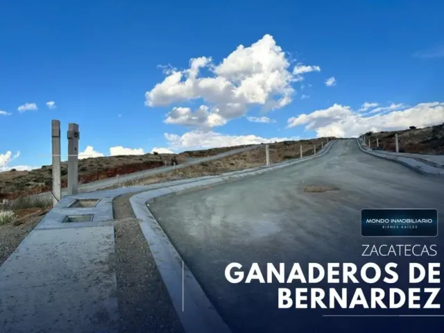 Terreno en venta en Ganaderos, Guadalupe, Zacatecas