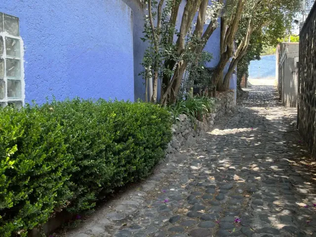 place photo 38