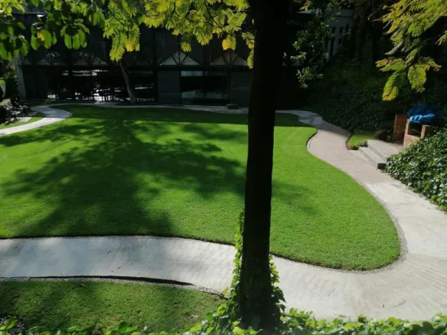 place photo 45