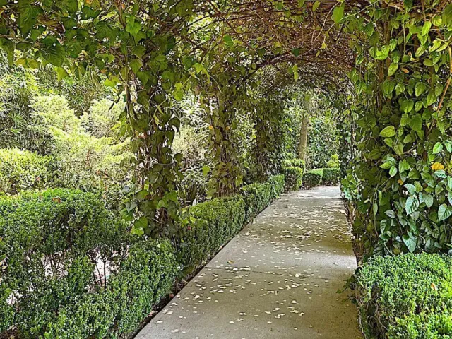 place photo 40