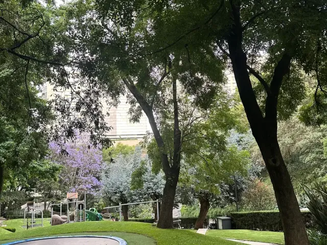 place photo 29