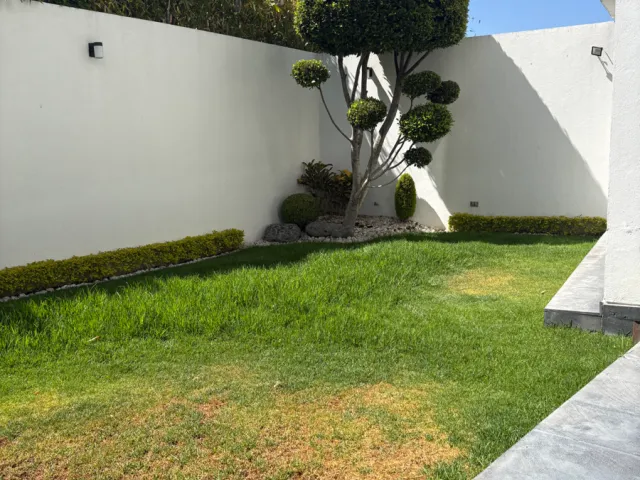 place photo 39
