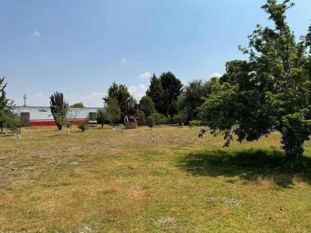 place photo 12