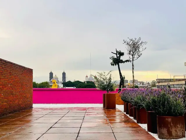 place photo 18