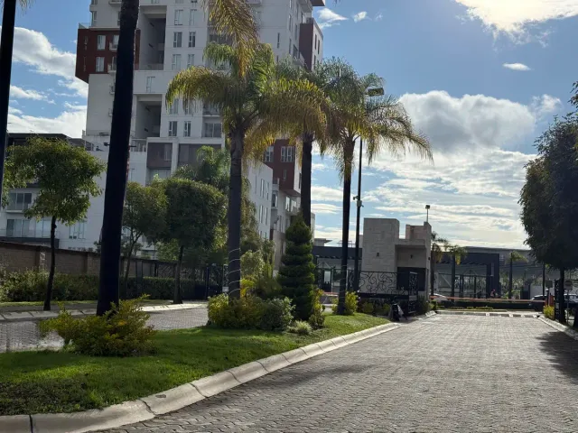 place photo 11