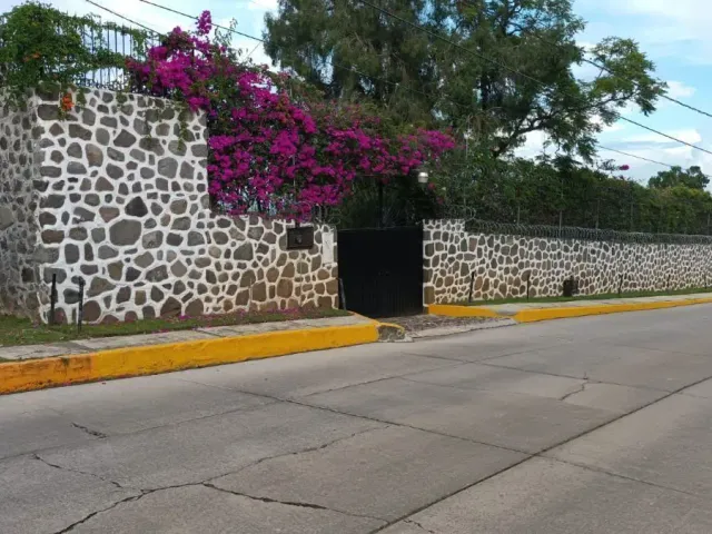 place photo 39