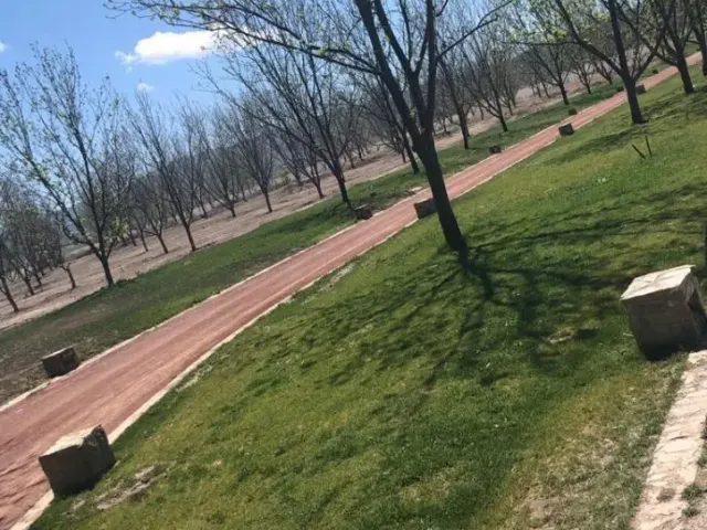 place photo 10