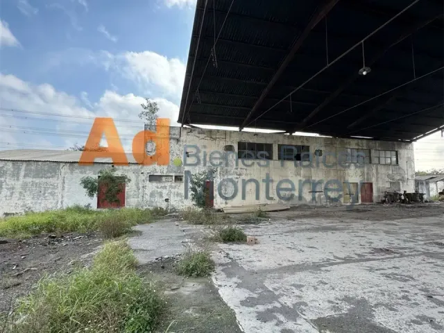 place photo 16