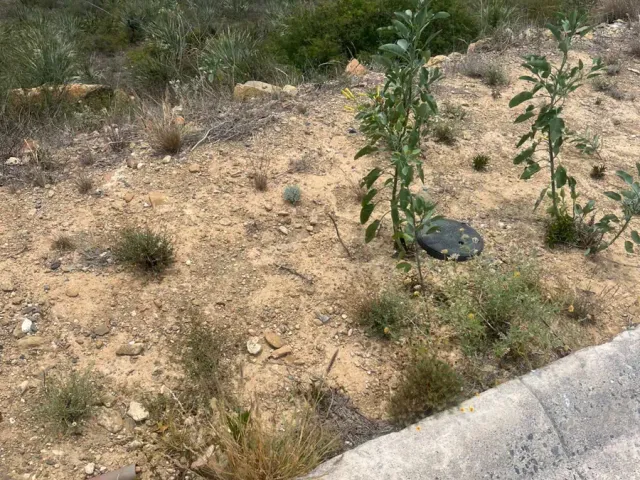 place photo 6