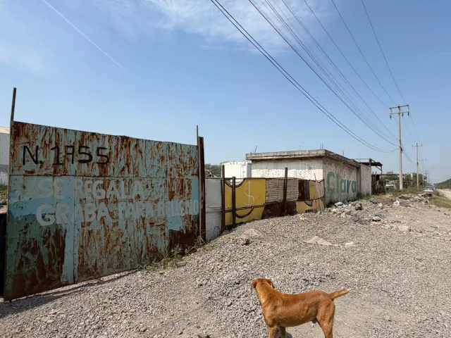 place photo 5