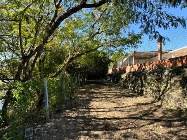 place photo 23