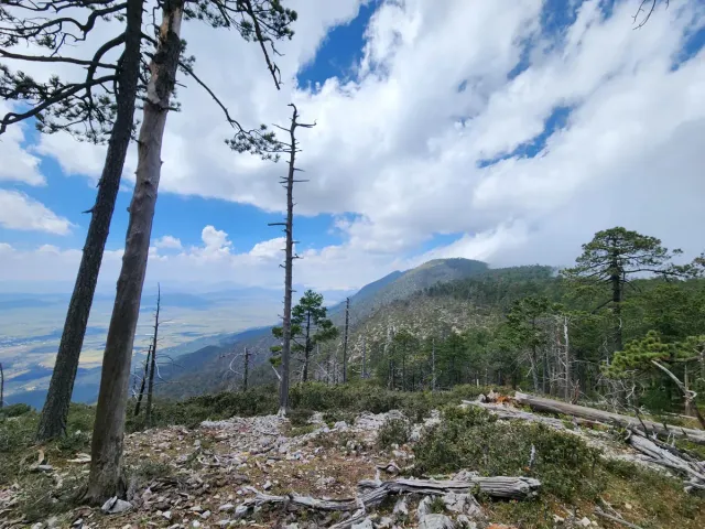 place photo 11