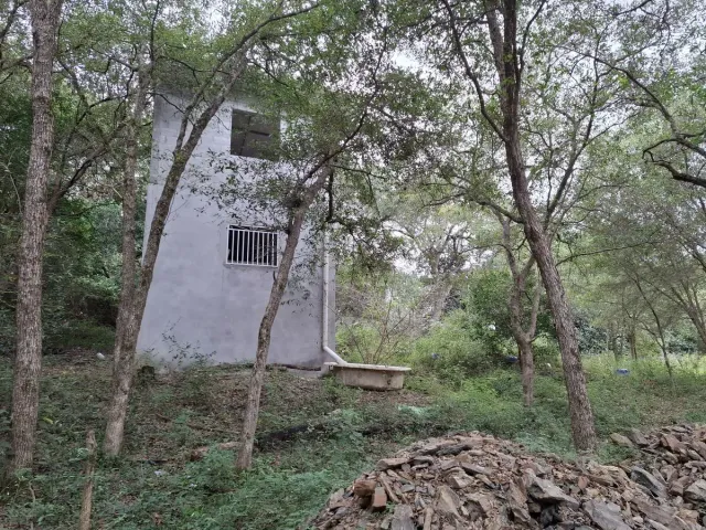 place photo 3