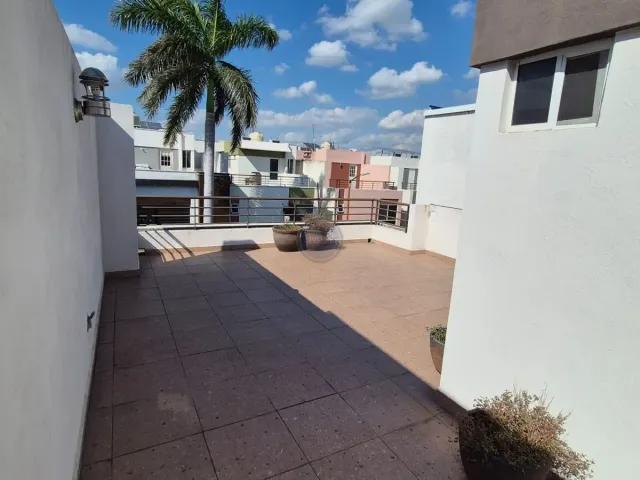 place photo 19