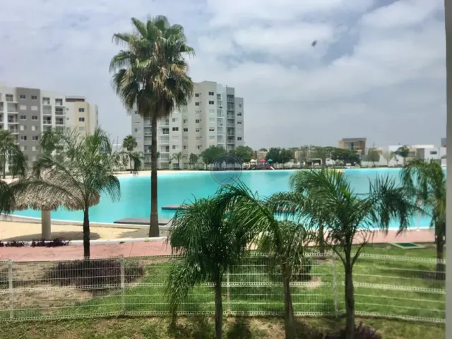 place photo 39