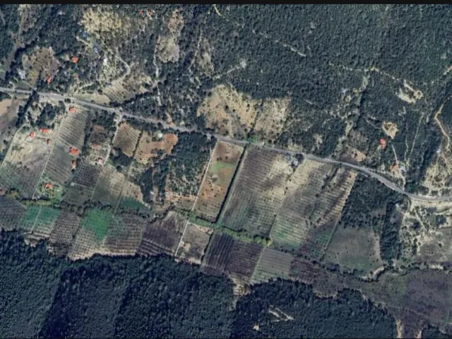 place photo 15
