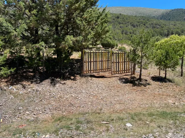 place photo 10