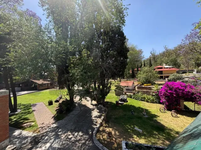 place photo 29