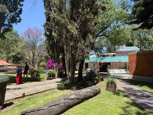 place photo 9