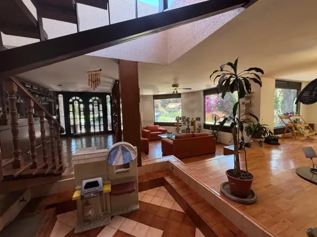 place photo 16