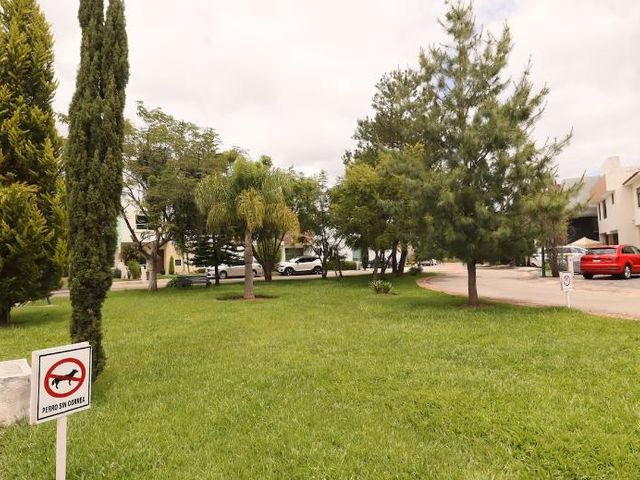 place photo 44