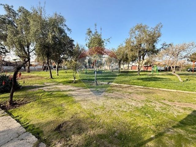 place photo 31