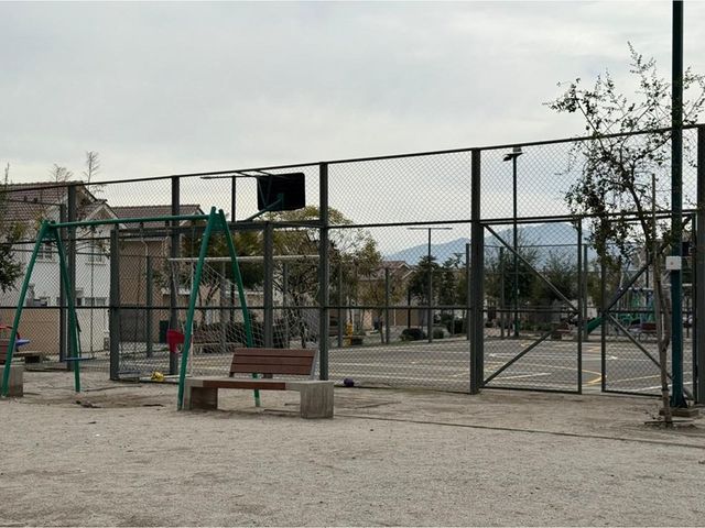 place photo 31