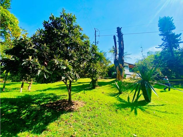 place photo 46