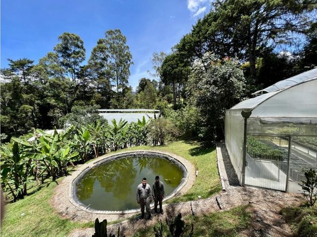 place photo 49