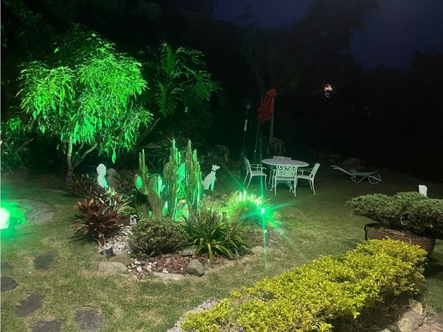 place photo 52