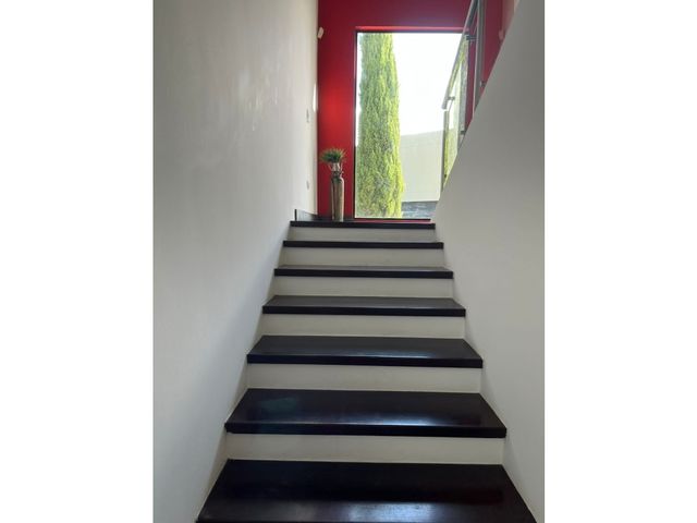 place photo 54