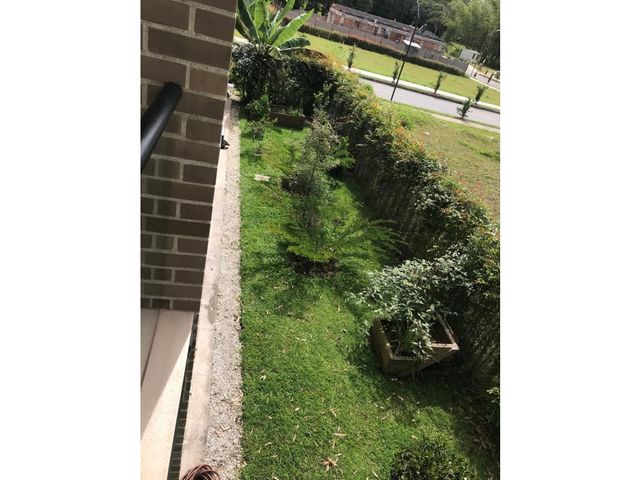 place photo 43