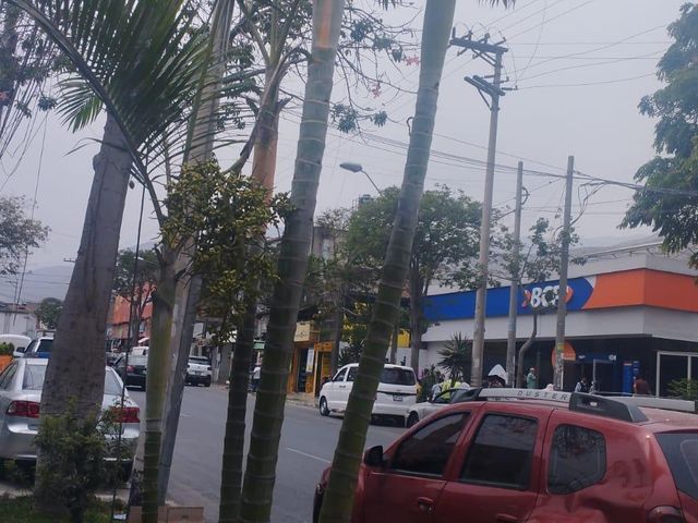 place photo 22
