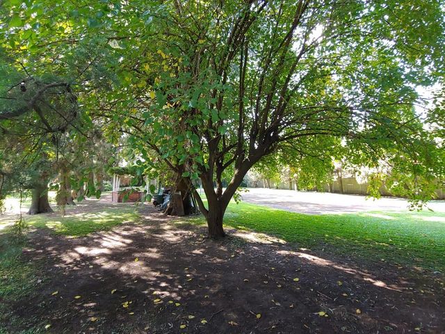 place photo 59