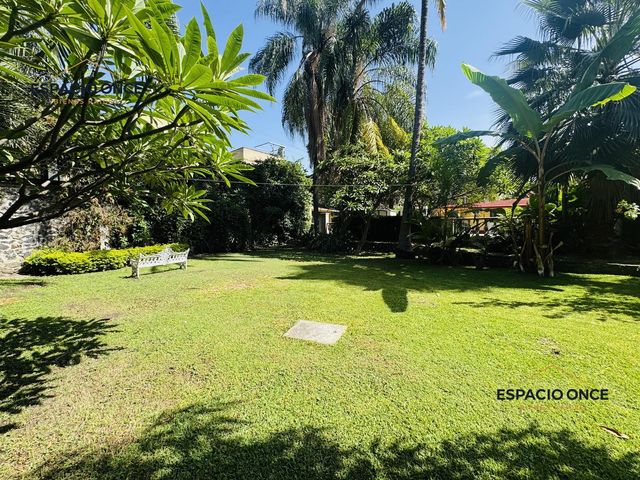 place photo 38